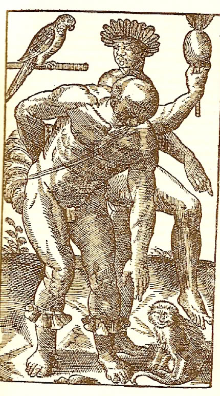 Jean de Lery, Histoire d'un Voyage fait en la terre du Bresil